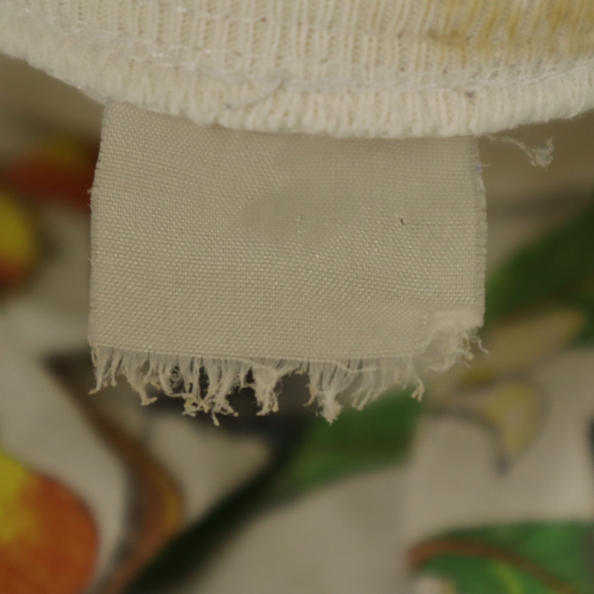 OLD オールド 90s 昆虫 半袖 シングルステッチ プリント Tシャツ ホワイト メンズ