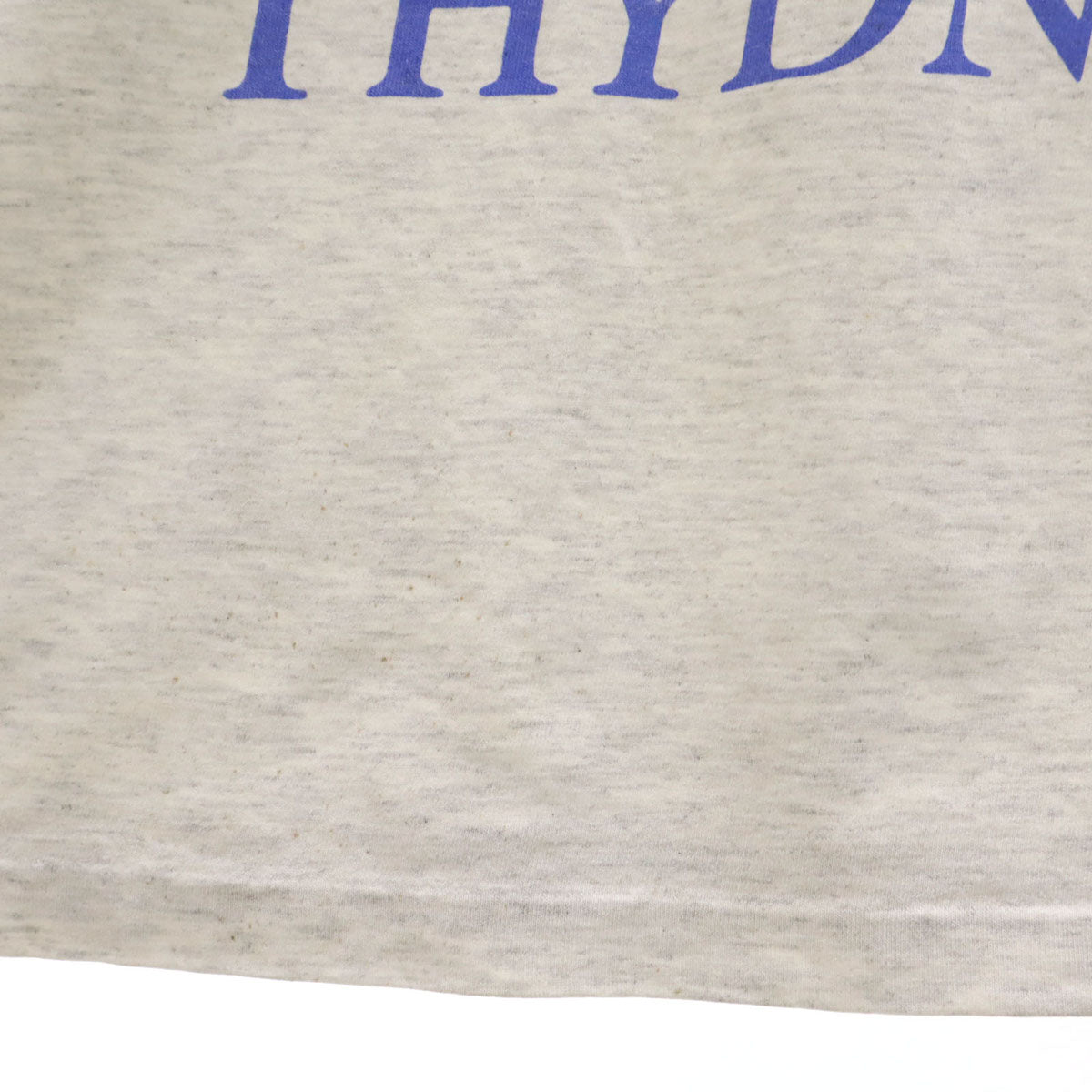 90s オールド オーストラリア製 シルベスターキャット 半袖 シングルステッチ Tシャツ M グレー ルーニーテューンズ ワーナーブラザーズ メンズ