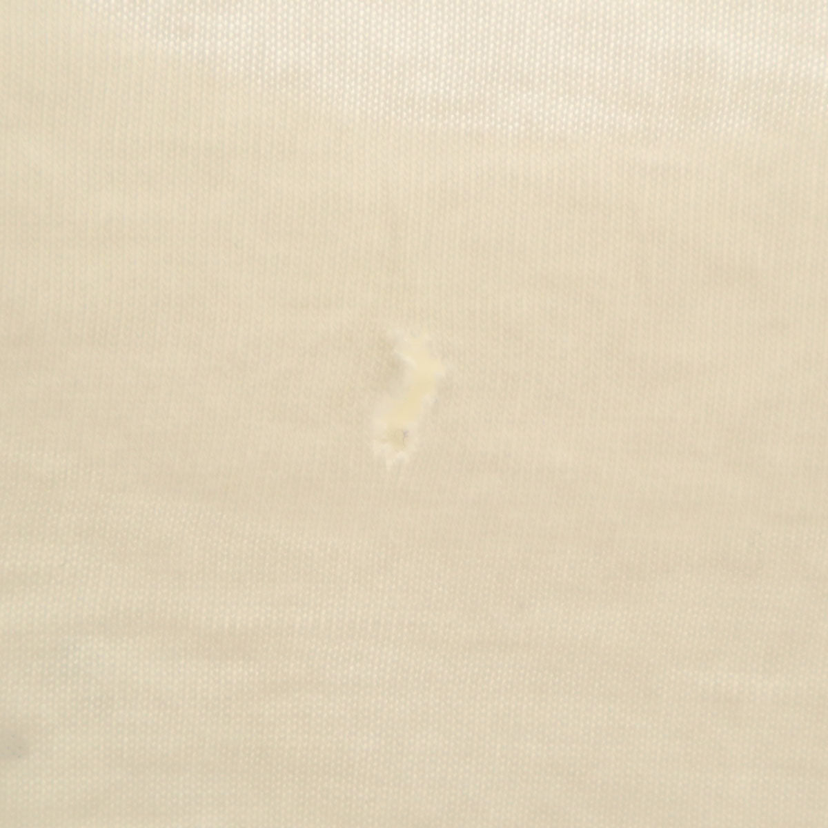 OLD オールド 90s オウム 半袖 シングルステッチ 染み込みプリント Tシャツ ホワイト メンズ