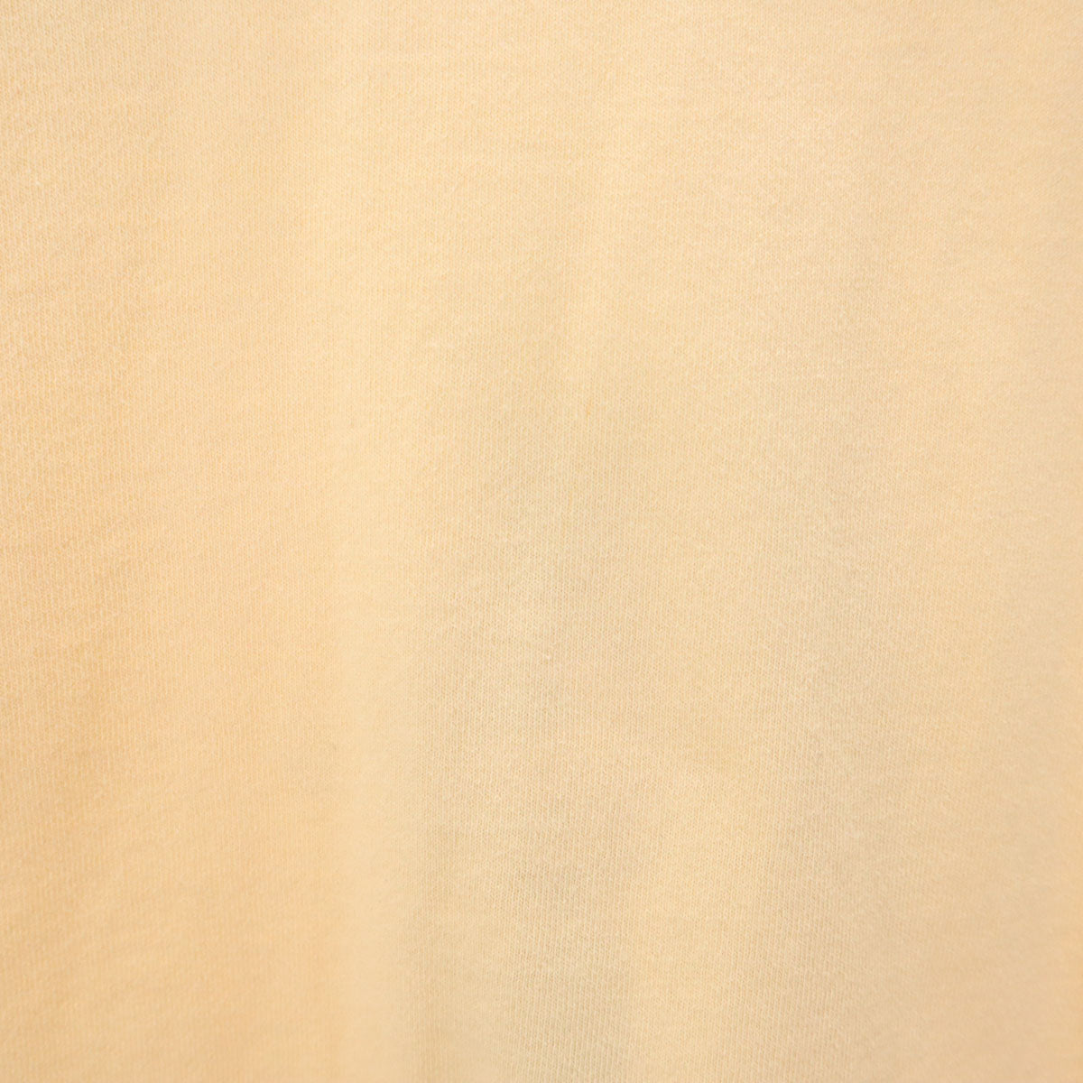 FRUIT OF THE LOOM フルーツオブザルーム 90s オールド USA製 ミツバチ 半袖 シングルステッチ Tシャツ XL ベージュ メンズ