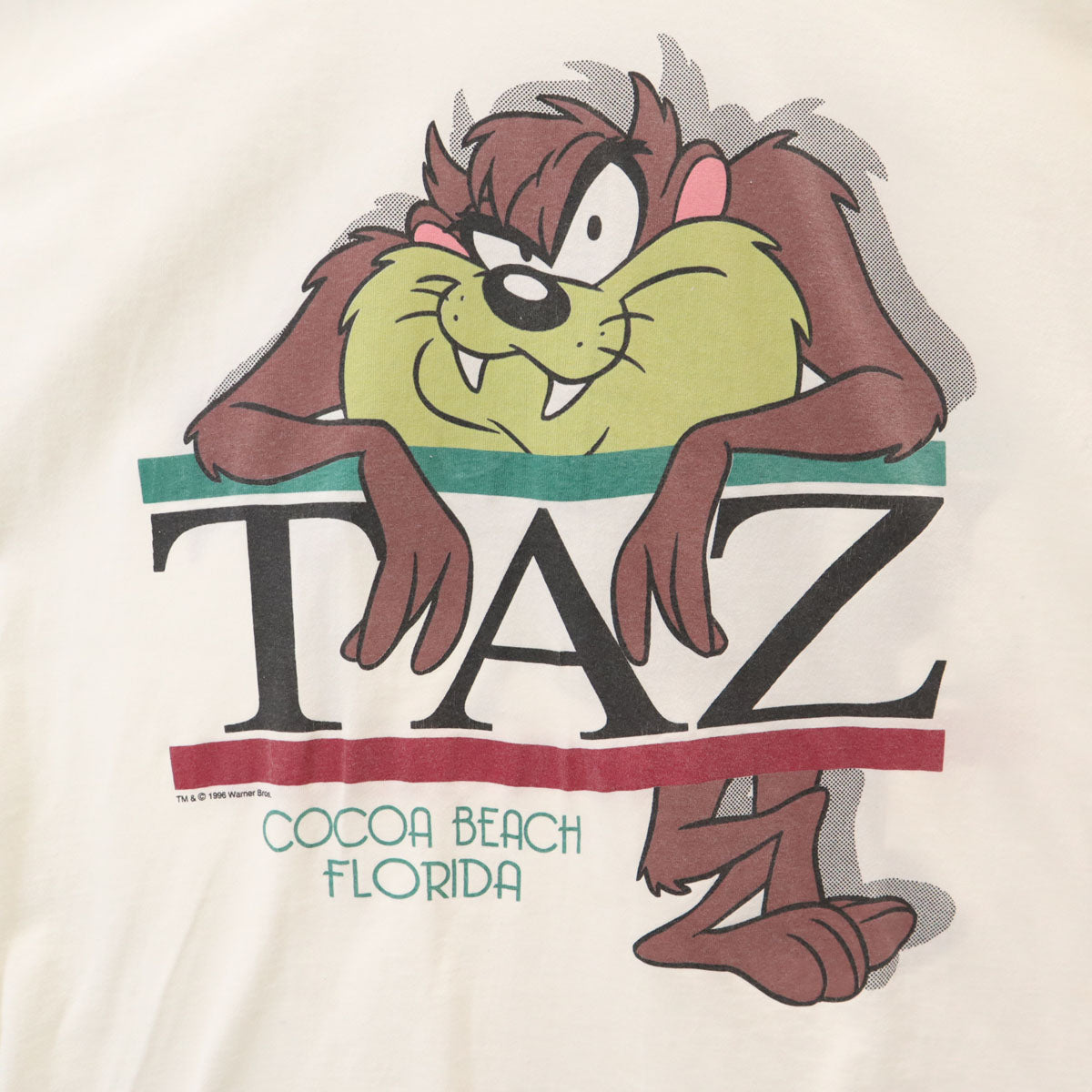 90s オールド メキシコ製 タズマニアンデビル 半袖 両面プリント Tシャツ L ホワイト ワーナーブラザーズ メンズ