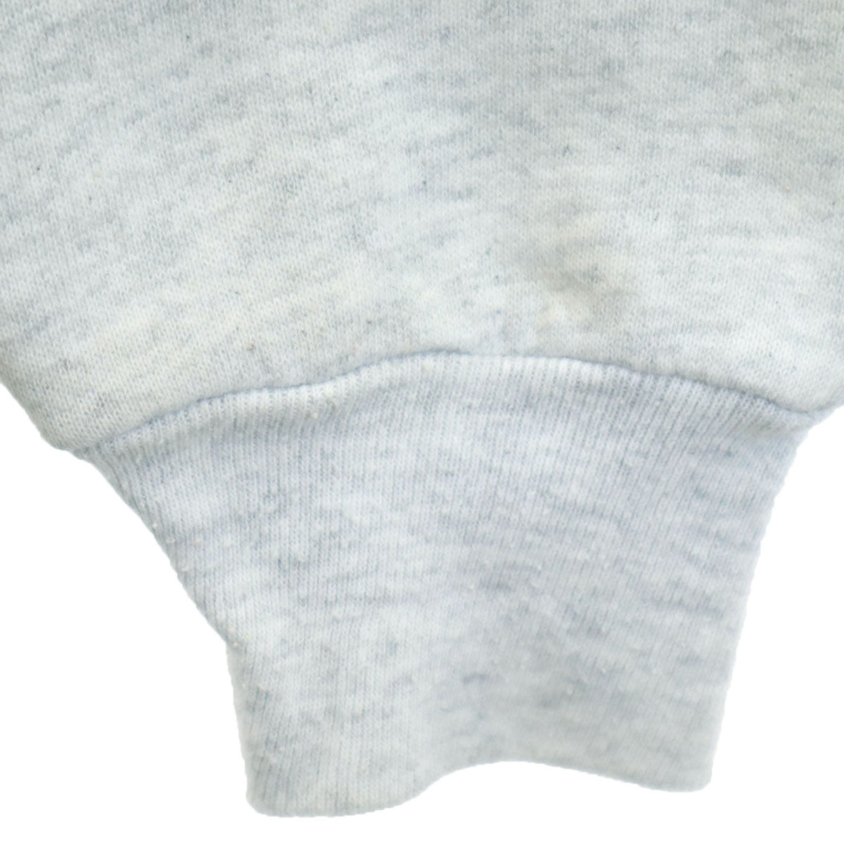 FRUIT OF THE LOOM フルーツオブザルーム 90s オールド USA製 49ERS NFL ルーニーテューンズ タズマニアンデビル 長袖 スウェット L グレー 裏起毛 ワーナーブラザーズ メンズ
