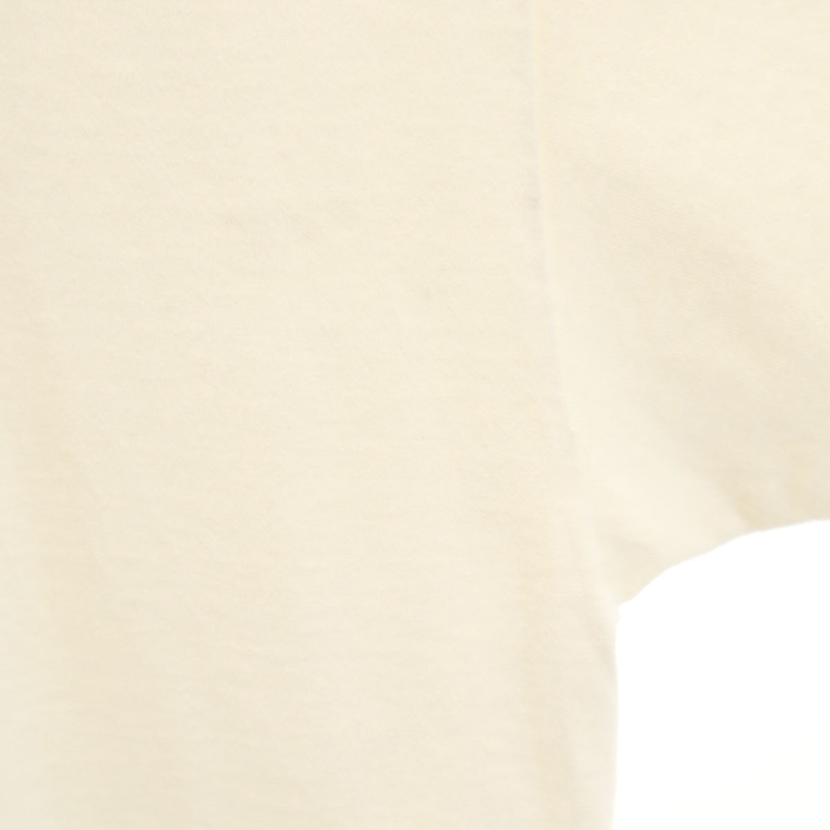 JERZEES ジャージーズ 80s ヴィンテージ USA製 グランドティトン国立公園 ヘラジカ 半袖 アニマル Tシャツ 2XL ホワイト メンズ