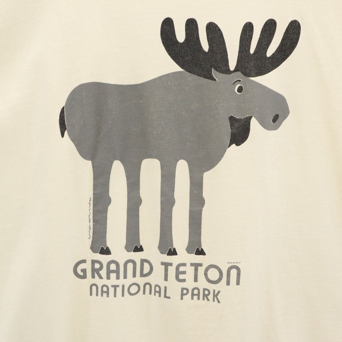 JERZEES ジャージーズ 80s ヴィンテージ USA製 グランドティトン国立公園 ヘラジカ 半袖 アニマル Tシャツ 2XL ホワイト メンズ