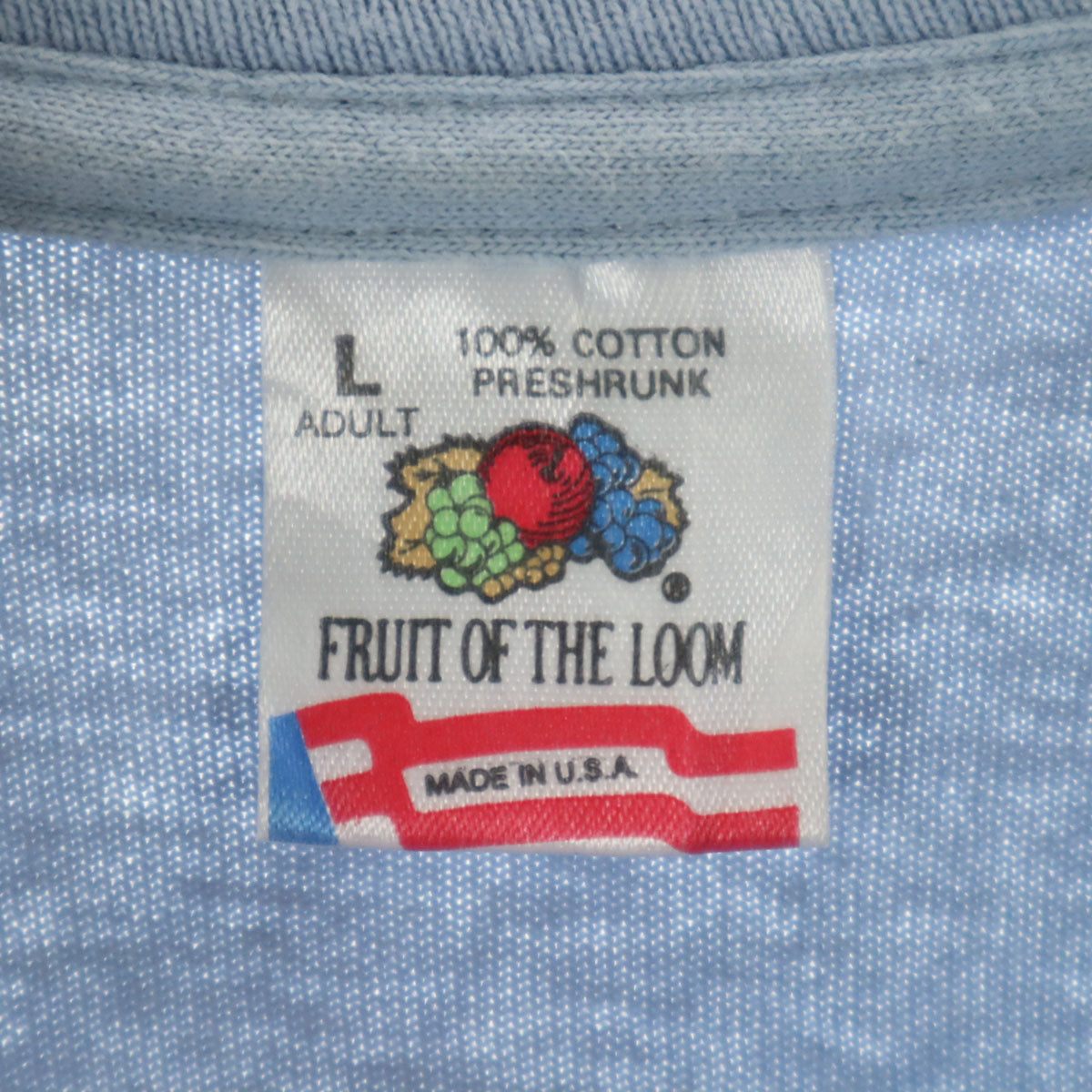 FRUIT OF THE LOOM フルーツオブザルーム 90s オールド USA製 イエスキリスト 半袖 ジーザス シングルステッチ Tシャツ L スカイブルー JESUS メンズ