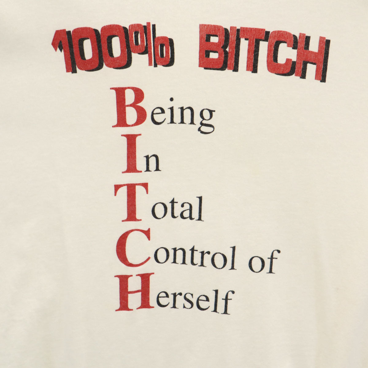 Hanes ヘインズ 90s オールド USA製 BITCH ビッチ 半袖 シングルステッチ メッセージ Tシャツ XL ホワイト メンズ