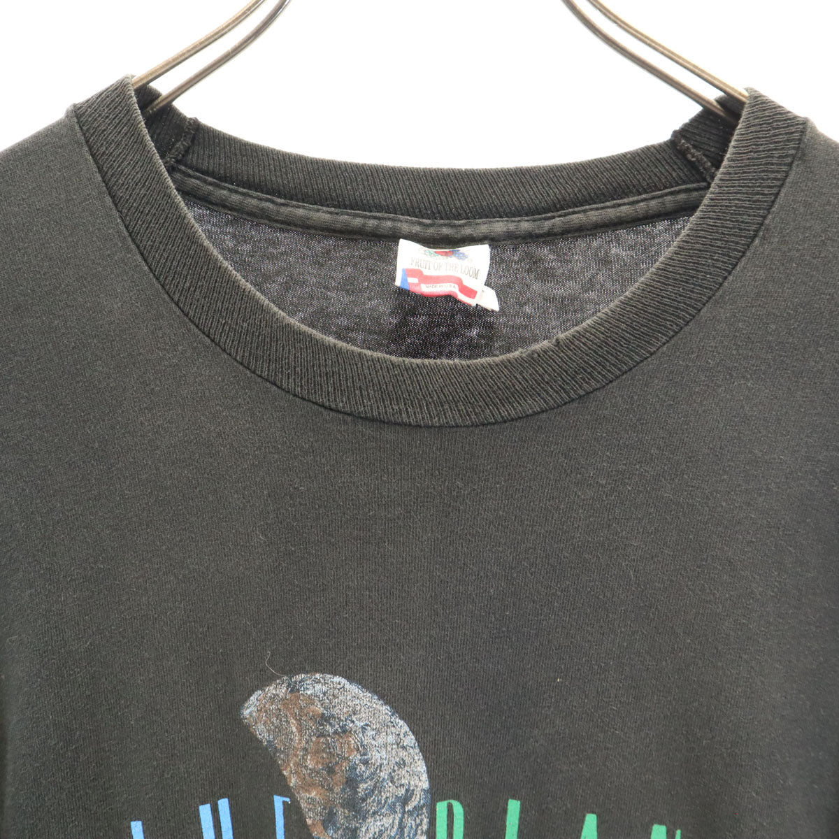 FRUIT OF THE LOOM フルーツオブザルーム 90s オールド USA製 地球 半袖 シングルステッチ Tシャツ L ブラック BLUE PLANET メンズ