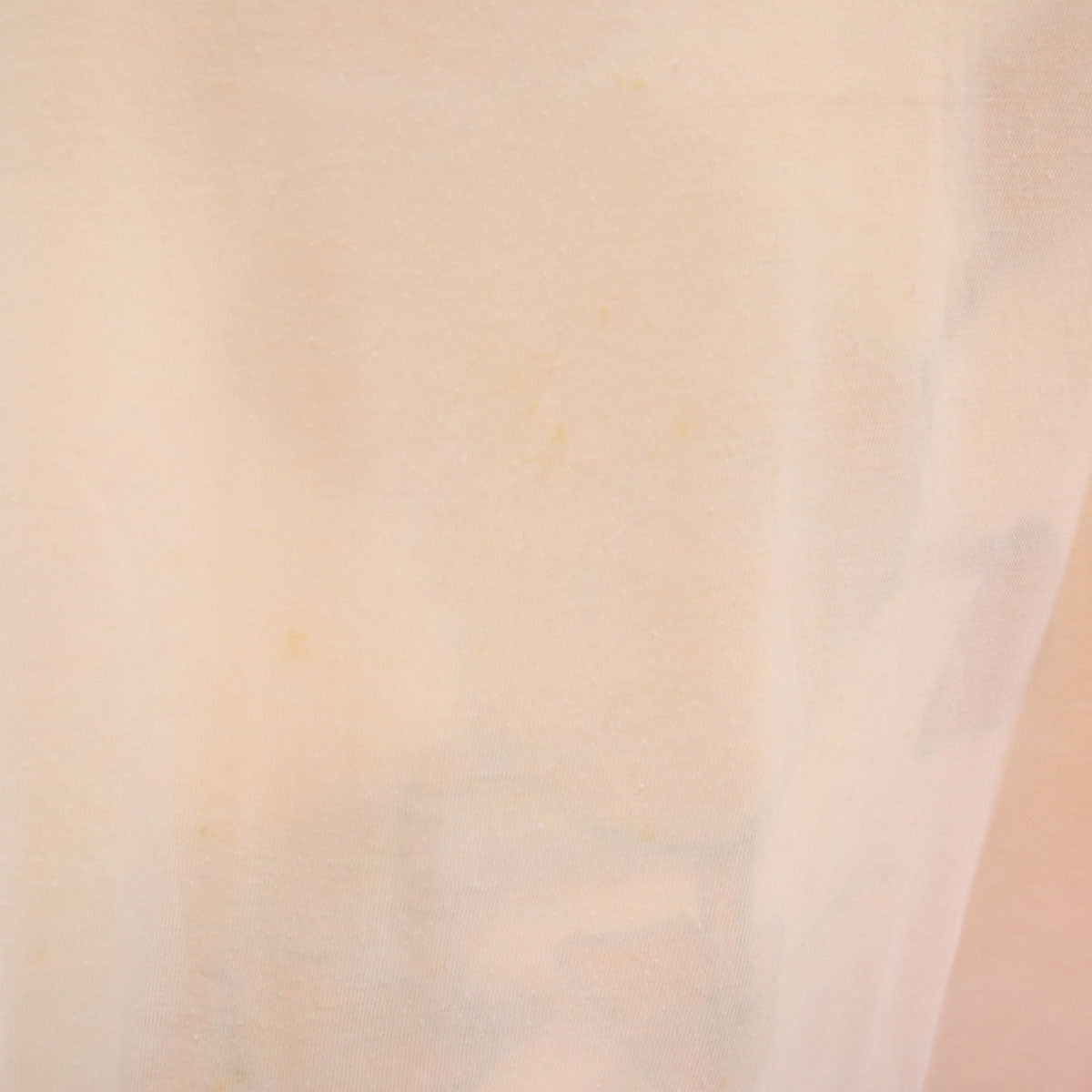 Hanes ヘインズ 80s 90s オールド USA製 アヒル 半袖 シングルステッチ プリント Tシャツ XL ピンク メンズ