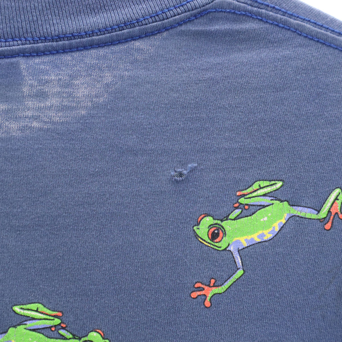 HARBORSIDE GRAPHICS ハーバーサイドグラフィックス 90s オールド USA製 蛙 半袖 シングルステッチ 両面プリント Tシャツ L ブルー メンズ
