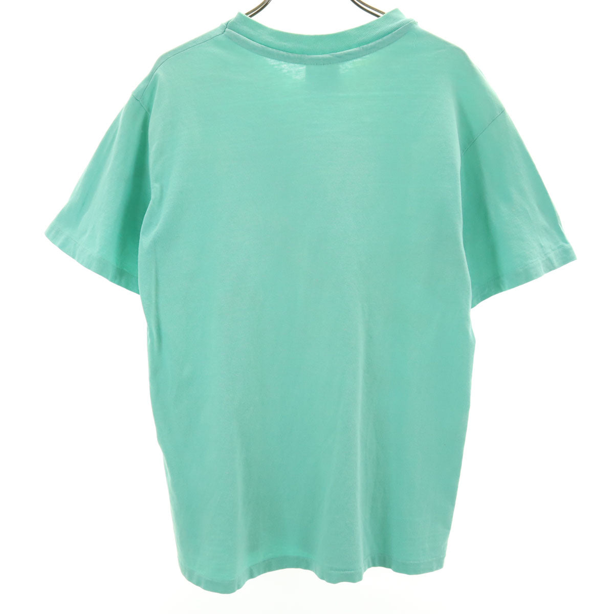 Hanes ヘインズ 80s USA製 ヴィンテージ スネーク 半袖 Tシャツ M ミント BEEFY-T シングルステッチ メンズ