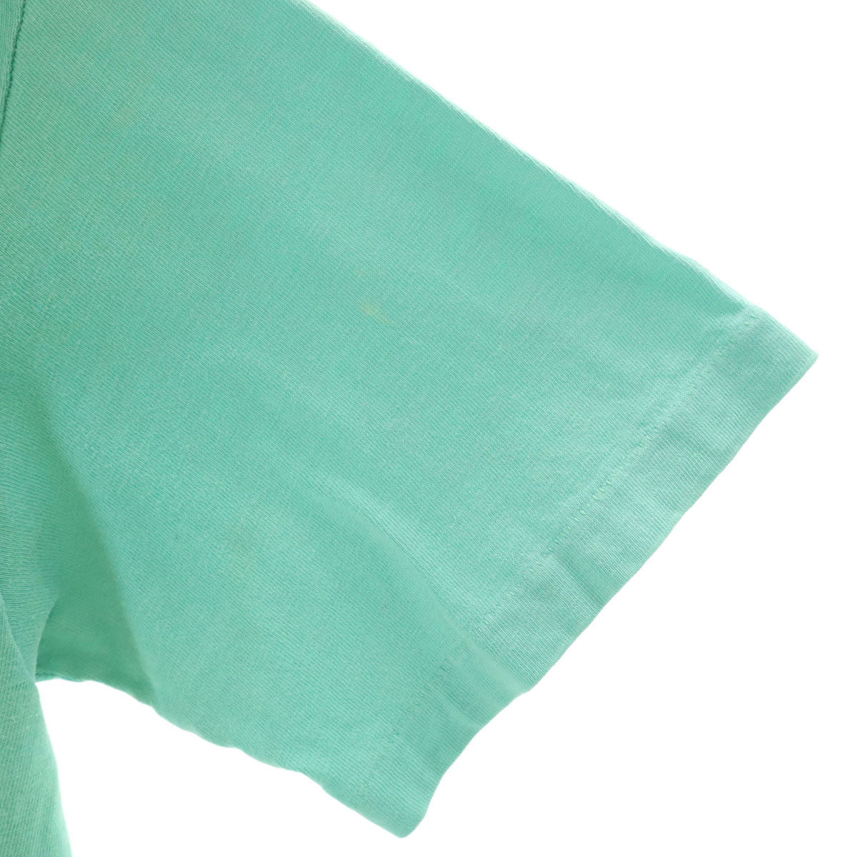 Hanes ヘインズ 80s USA製 ヴィンテージ スネーク 半袖 Tシャツ M ミント BEEFY-T シングルステッチ メンズ