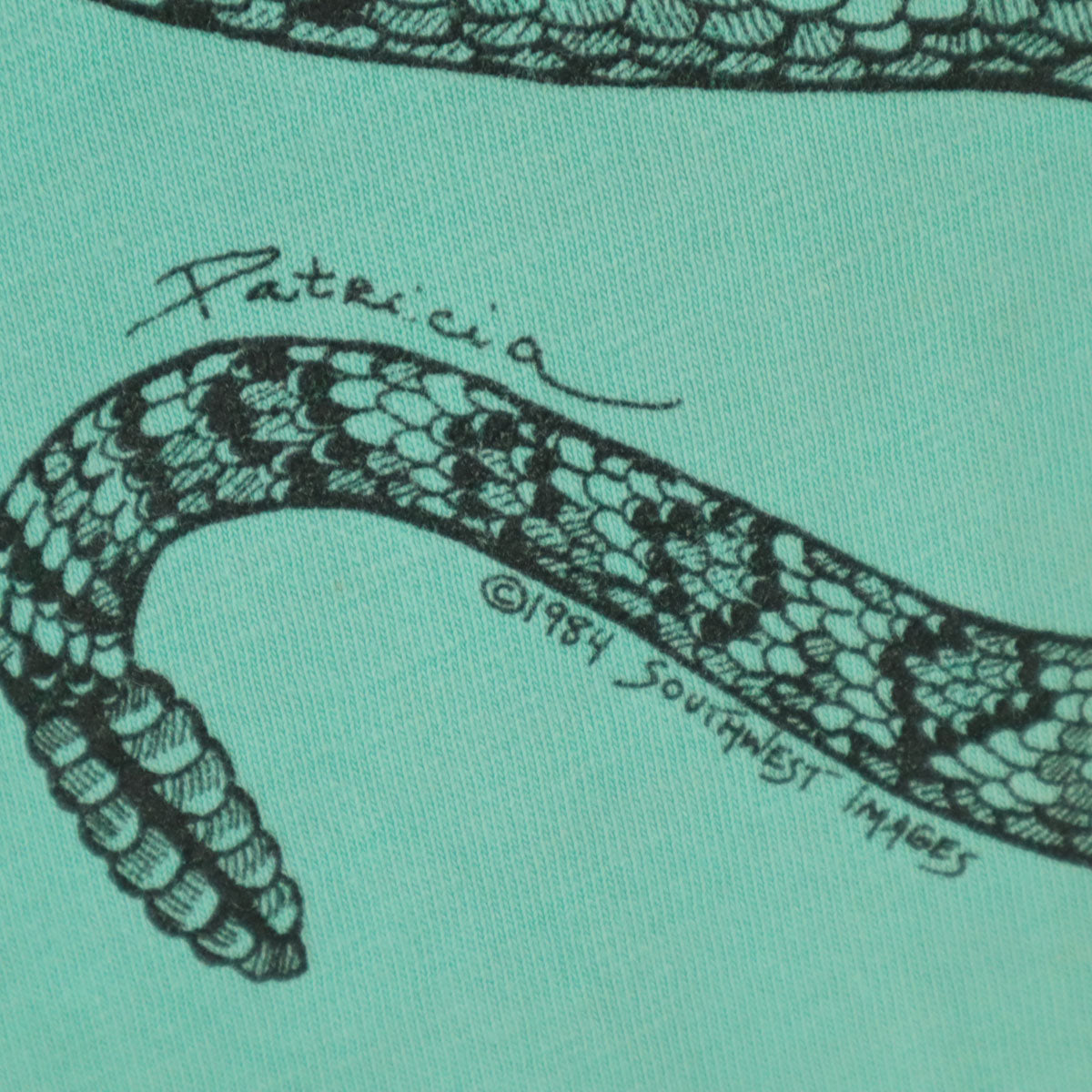 Hanes ヘインズ 80s USA製 ヴィンテージ スネーク 半袖 Tシャツ M ミント BEEFY-T シングルステッチ メンズ