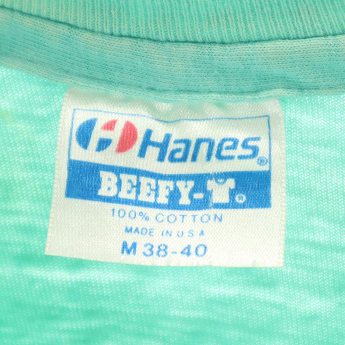 Hanes ヘインズ 80s USA製 ヴィンテージ スネーク 半袖 Tシャツ M ミント BEEFY-T シングルステッチ メンズ