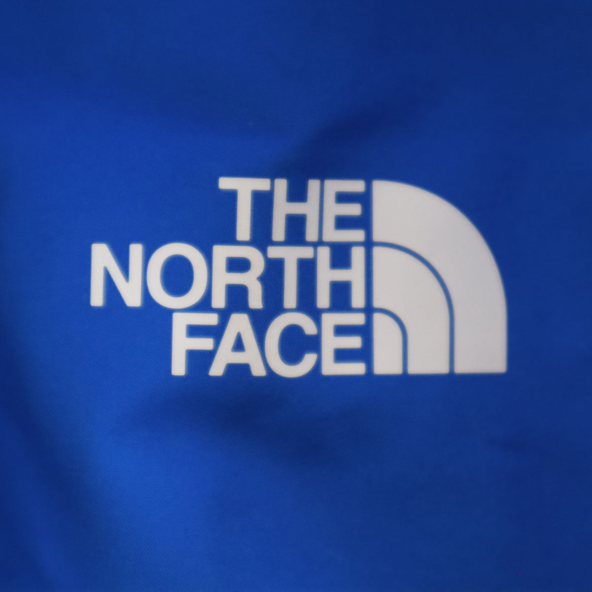 THE NORTH FACE ノースフェイス GORE-TEX パウダーガイド ジャケット WS ブルー アウトドア NS62001 レディース