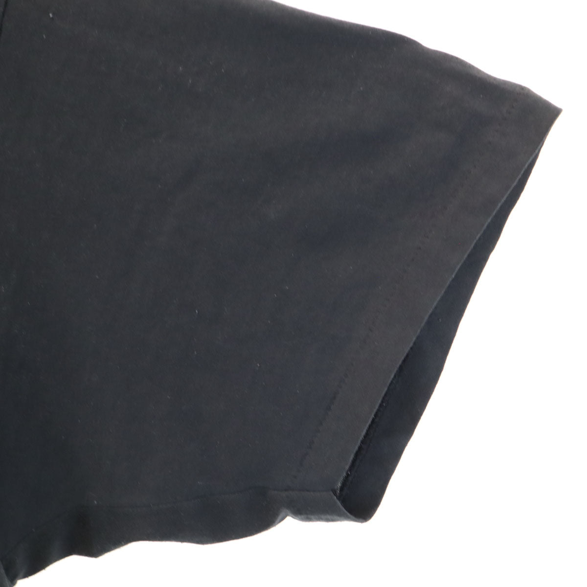 Hanes ヘインズ 90s オールド USA製 アニマル柄 半袖 Tシャツ XXL ブラック シングルステッチ ビッグサイズ メンズ