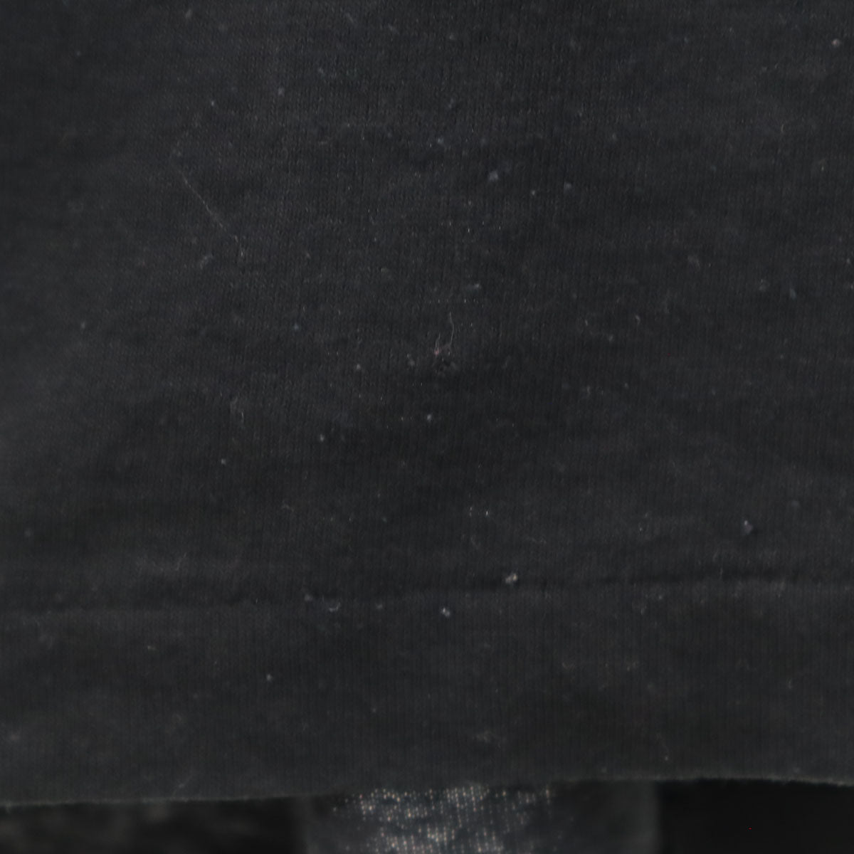 Hanes ヘインズ 90s オールド USA製 アニマル柄 半袖 Tシャツ XXL ブラック シングルステッチ ビッグサイズ メンズ