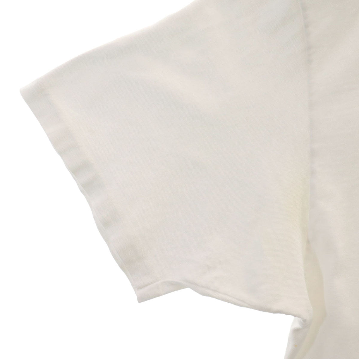 Hanes ヘインズ 90s USA製 オールド ドッグ 犬柄 半袖 Tシャツ XL ホワイト BEEFY-T メンズ