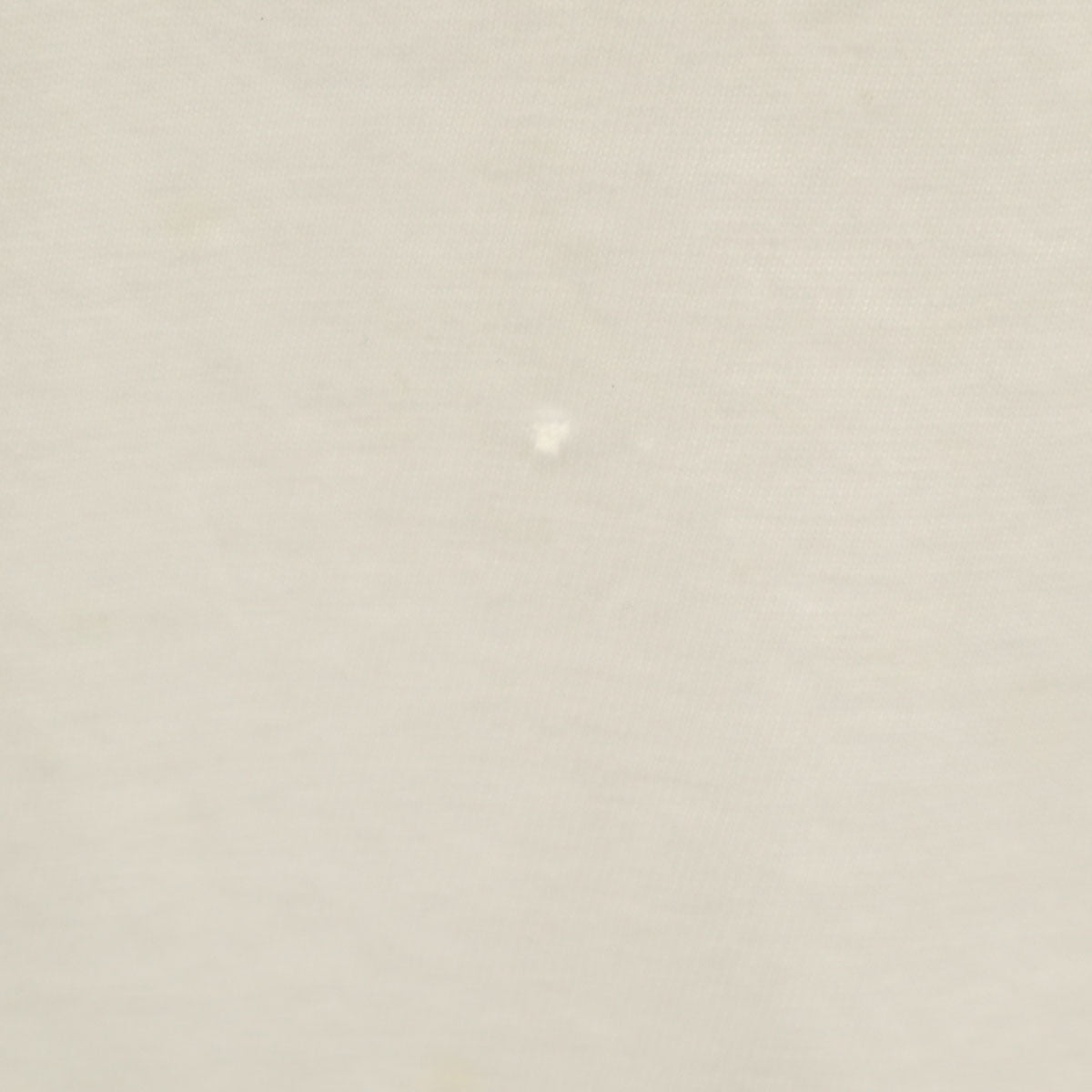 Hanes ヘインズ 90s USA製 オールド ドッグ 犬柄 半袖 Tシャツ XL ホワイト BEEFY-T メンズ