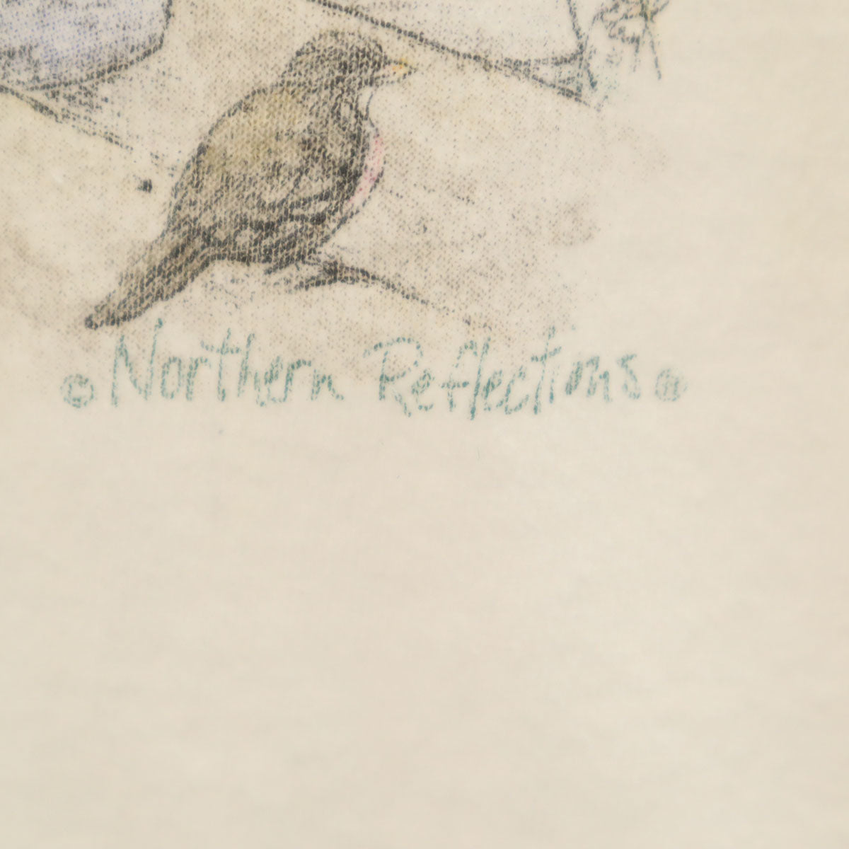 NORTHERN 90s オールド 半袖 Tシャツ M 白 シングルステッチ メンズ