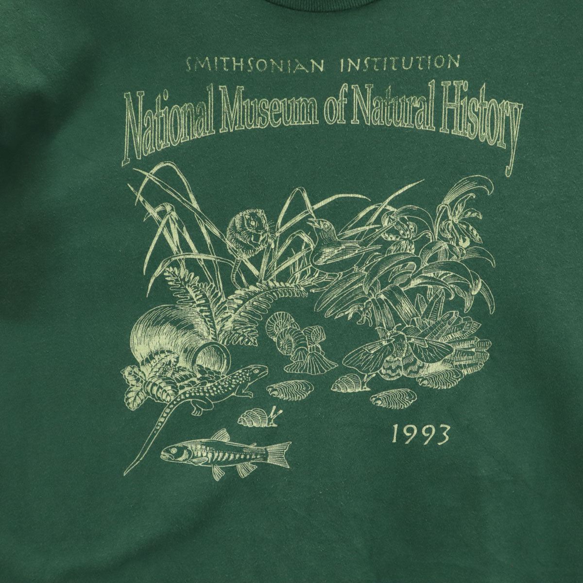 Hanes ヘインズ 90s USA製 オールド 半袖 Tシャツ M グリーン系 シングルステッチ メンズ