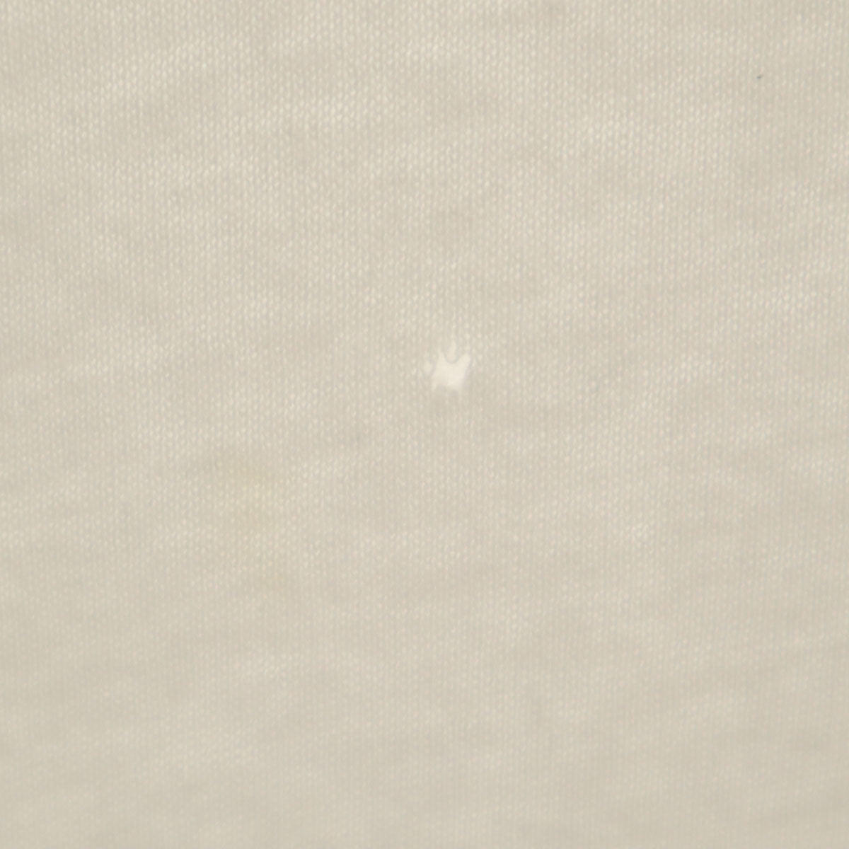 SCREEN STARS スクリーンスターズ 90s オールド ARTEVI 半袖 Tシャツ L ホワイト シングルステッチ メンズ