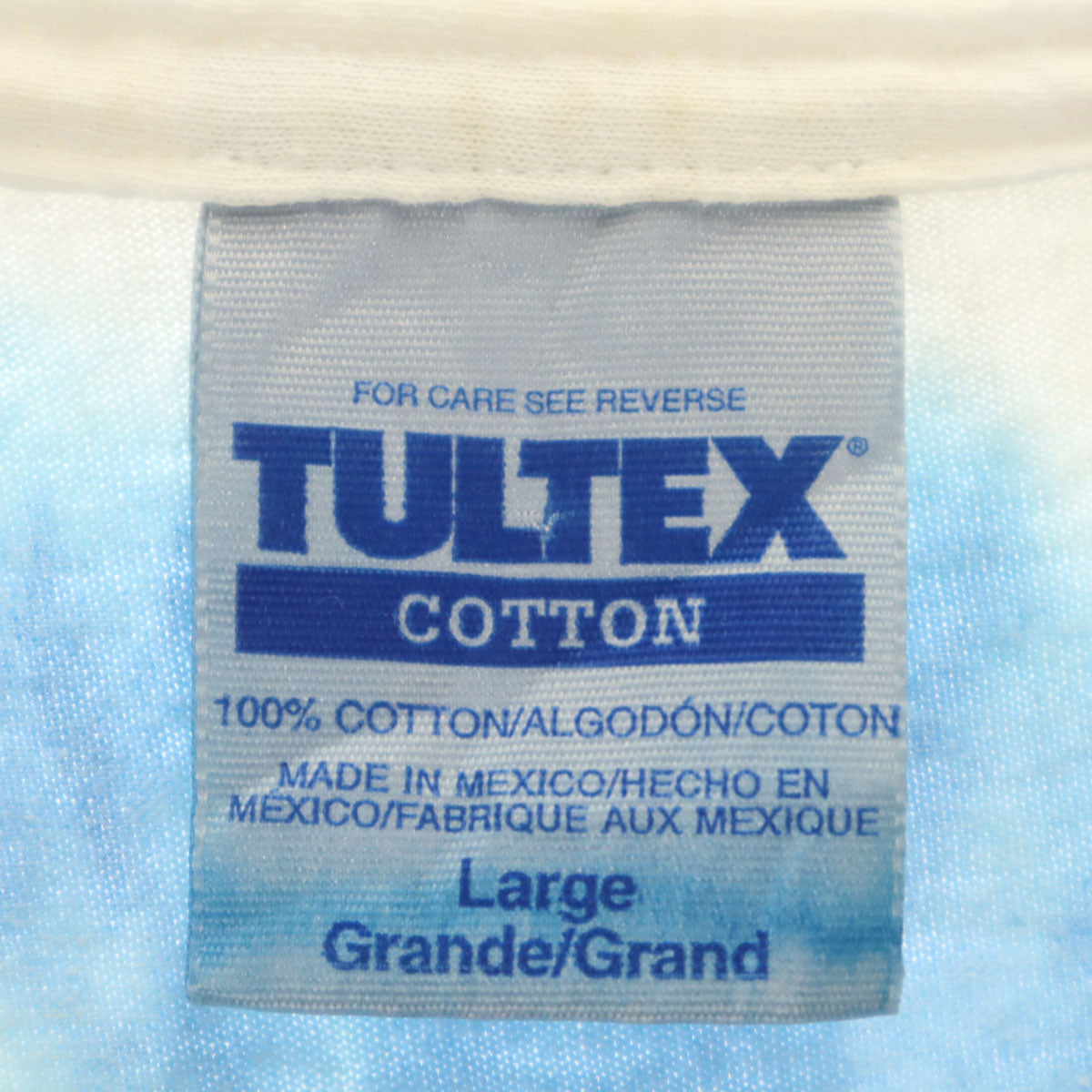 TULTEX タルテックス 00s オールド ルーニー・テューンズ トゥイーティー 半袖 Tシャツ L ブルー タイダイ染め メンズ