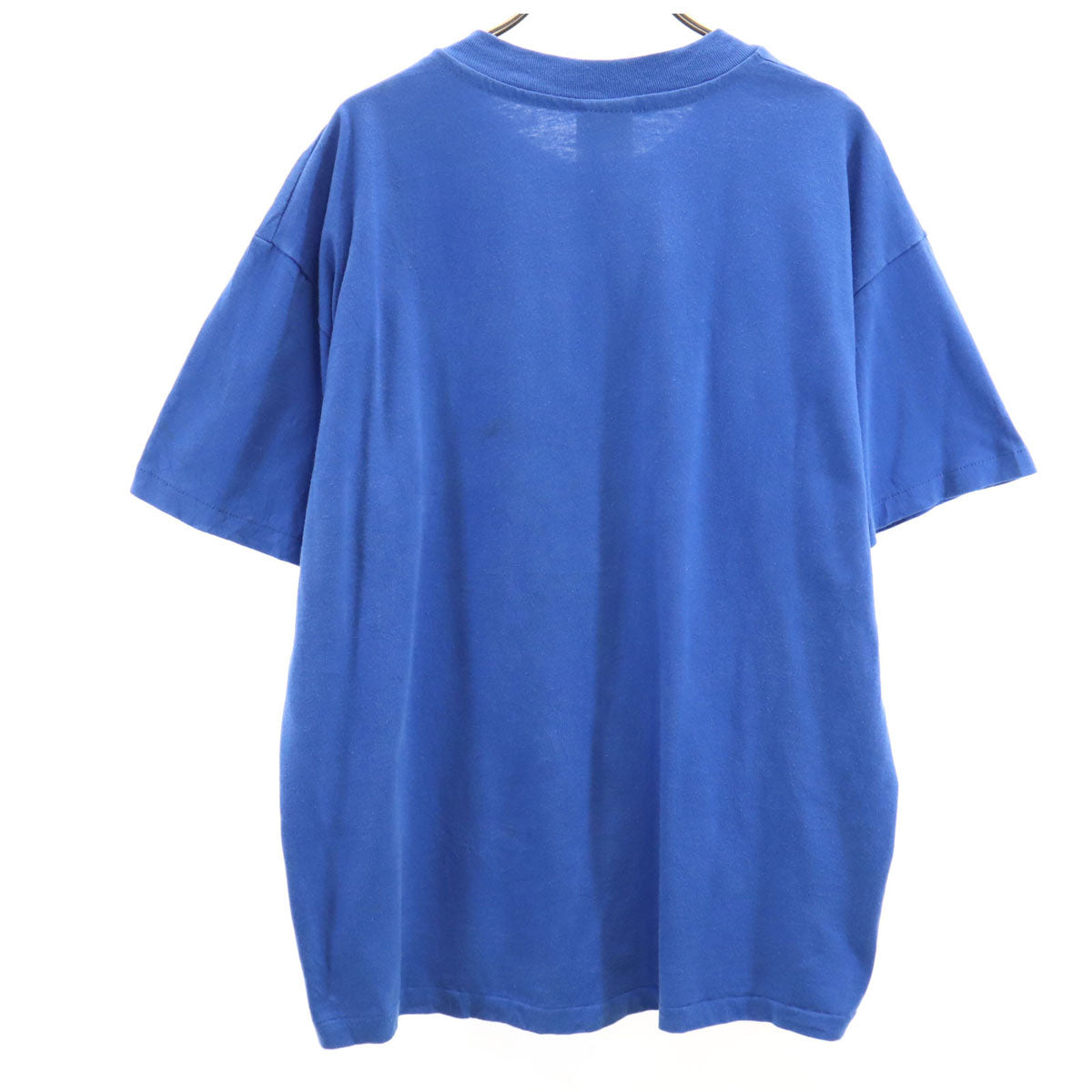 Hanes ヘインズ 90s オールド USA製 オートミール フェスティバル 半袖 Tシャツ L ブルー シングルステッチ メンズ