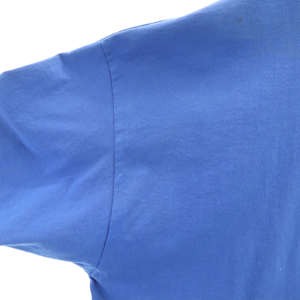 Hanes ヘインズ 90s USA製 オールド 亀 プリント 半袖 Tシャツ XXL ブルー シングルステッチ ビッグサイズ メンズ