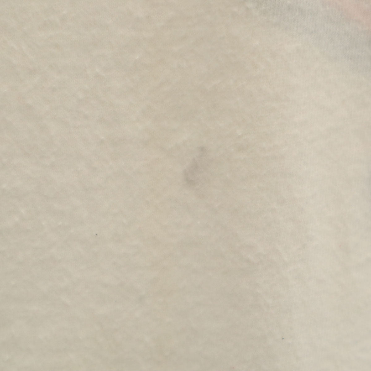 Hanes ヘインズ 80s 90s オールド USA製 バレーボール 半袖 Tシャツ XL ホワイト シングルステッチ BEEFY-T メンズ