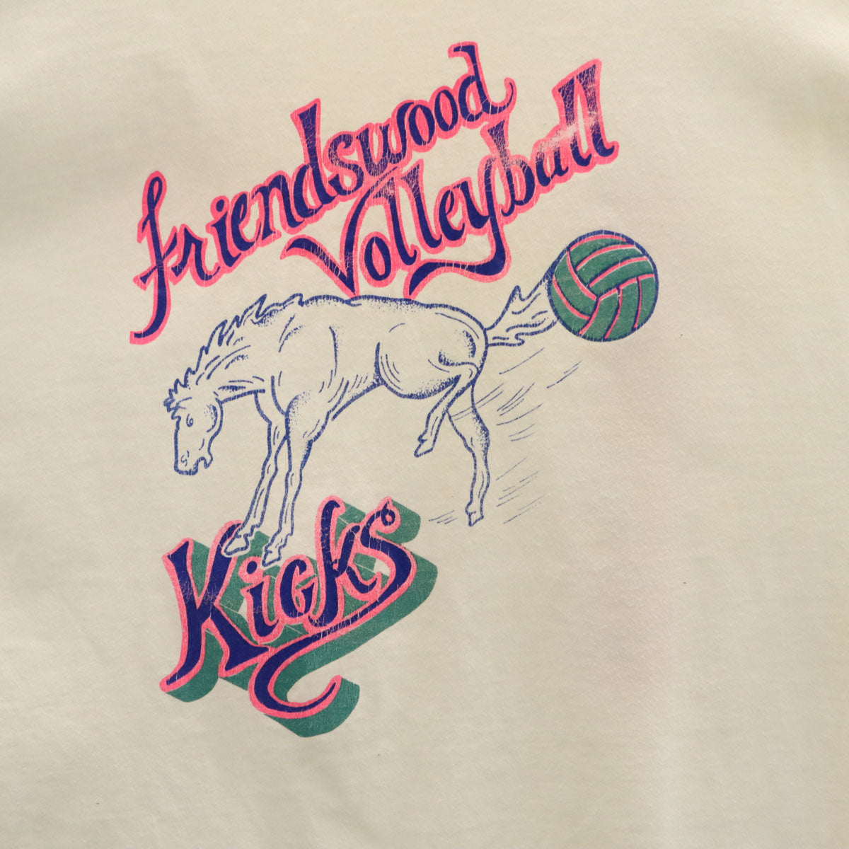 Hanes ヘインズ 80s 90s オールド USA製 バレーボール 半袖 Tシャツ XL ホワイト シングルステッチ BEEFY-T メンズ