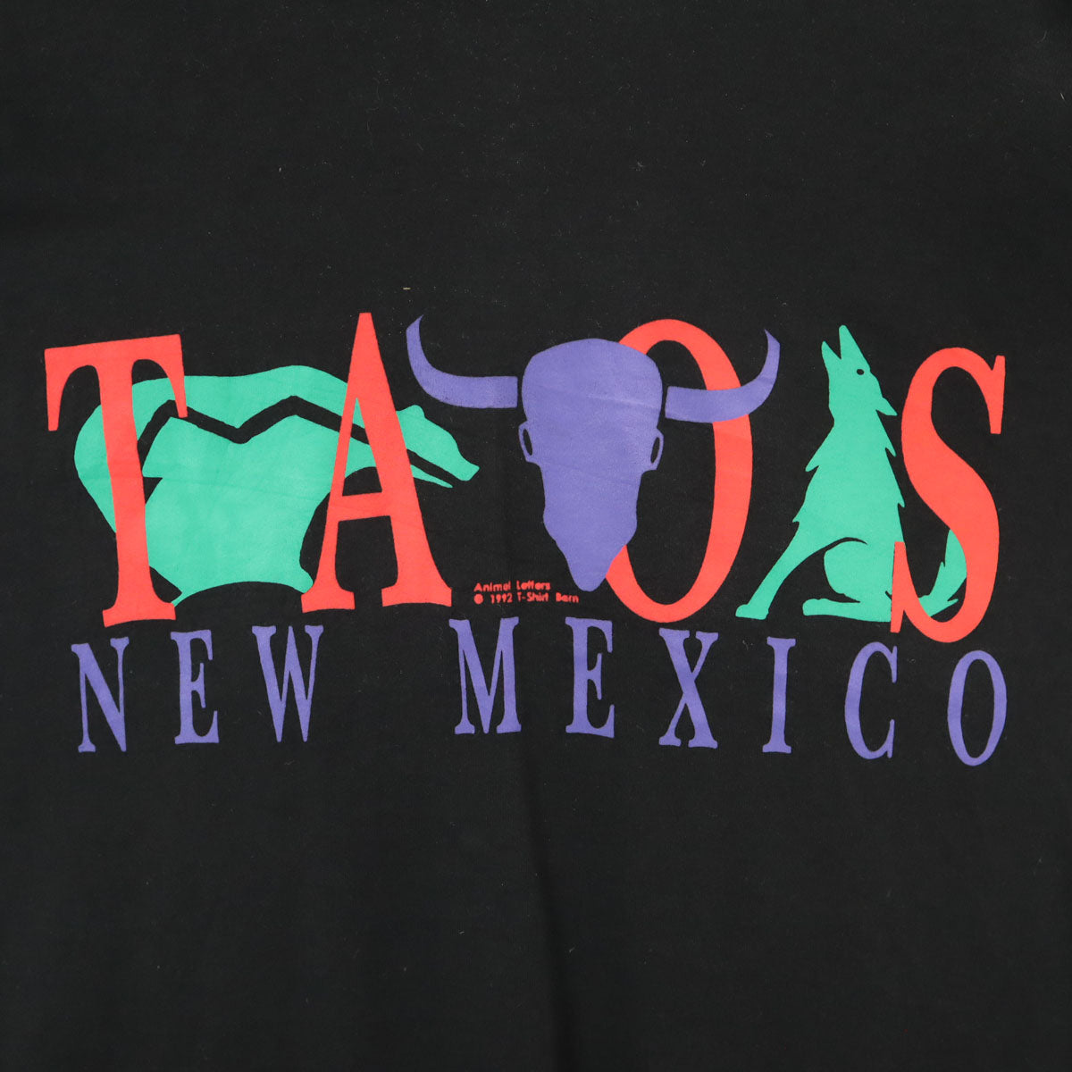 FRUIT OF THE LOOM フルーツオブザルーム 90s USA製 オールド 半袖 Tシャツ XL ブラック シングルステッチ メンズ