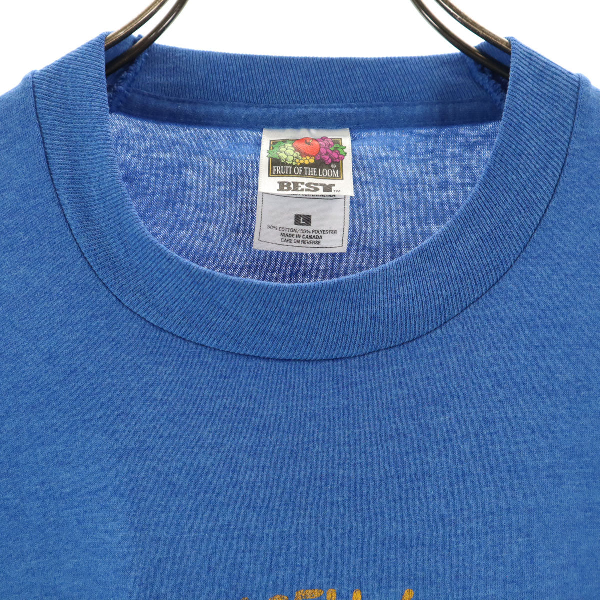 FRUIT OF THE LOOM フルーツオブザルーム 90s カナダ製 オールド 半袖 Tシャツ L ブルー シングルステッチ メンズ