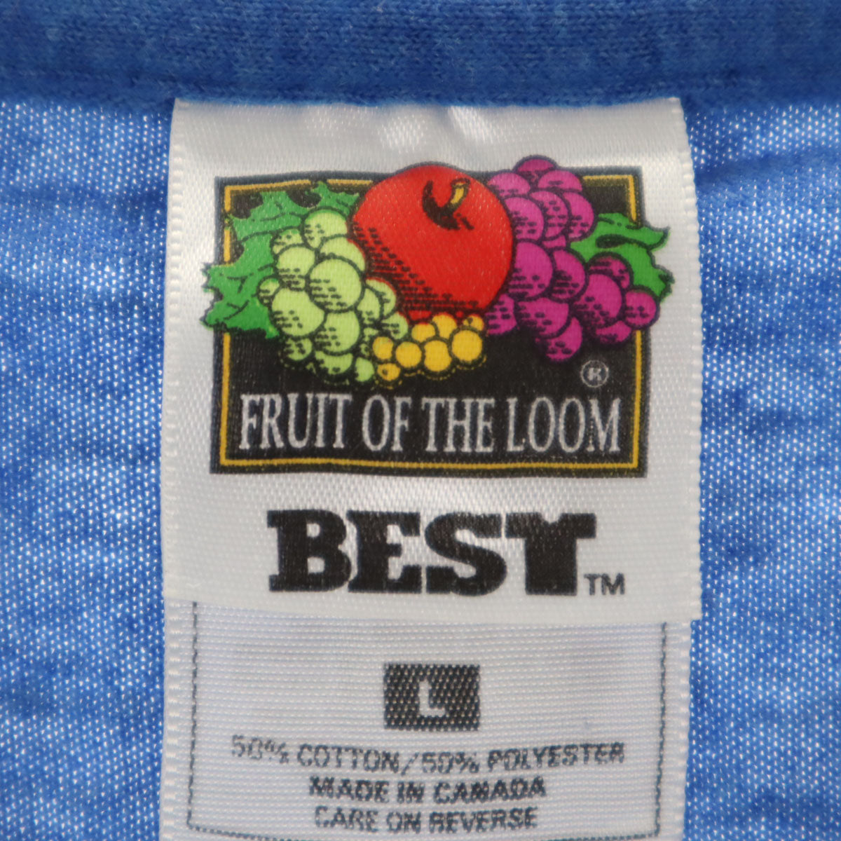 FRUIT OF THE LOOM フルーツオブザルーム 90s カナダ製 オールド 半袖 Tシャツ L ブルー シングルステッチ メンズ