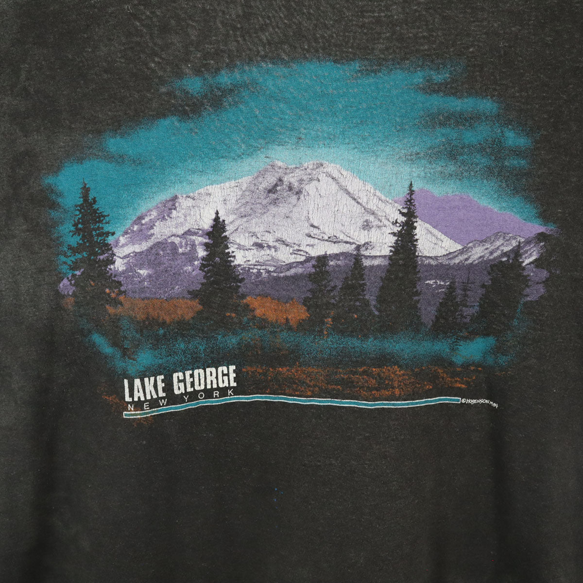 NATIONAL 90s USA製 オールド ニューヨーク ジョージ湖 プリント 半袖 Tシャツ XL チャコールグレー シングルステッチ メンズ