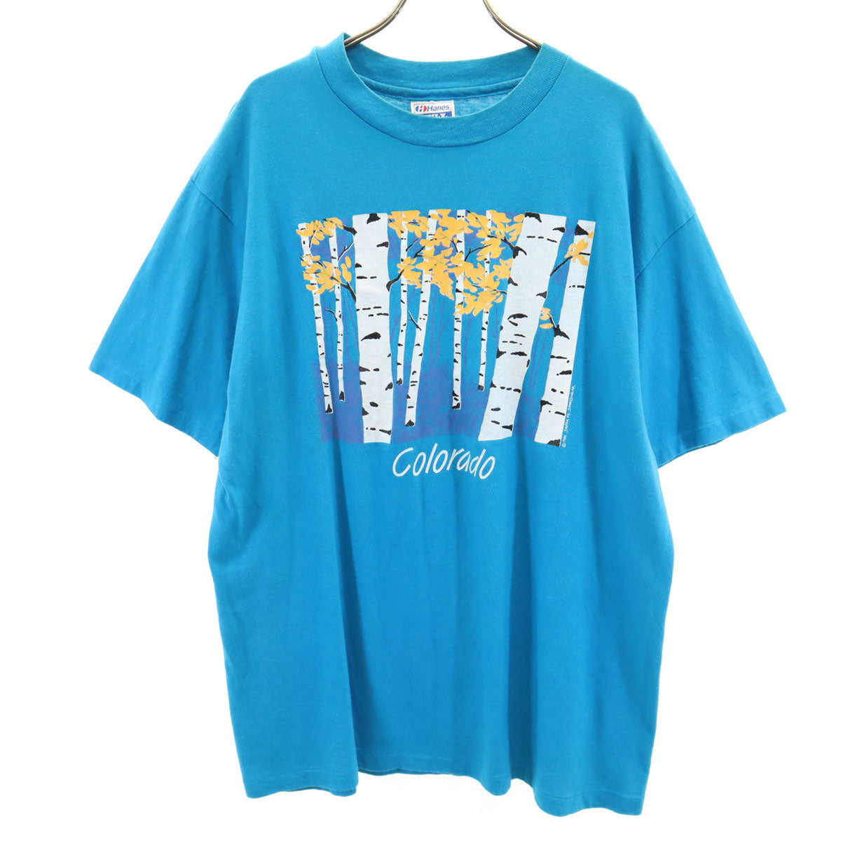 Hanes ヘインズ 80s 90s USA製 オールド 半袖 Tシャツ XL ブルー シングルステッチ メンズ