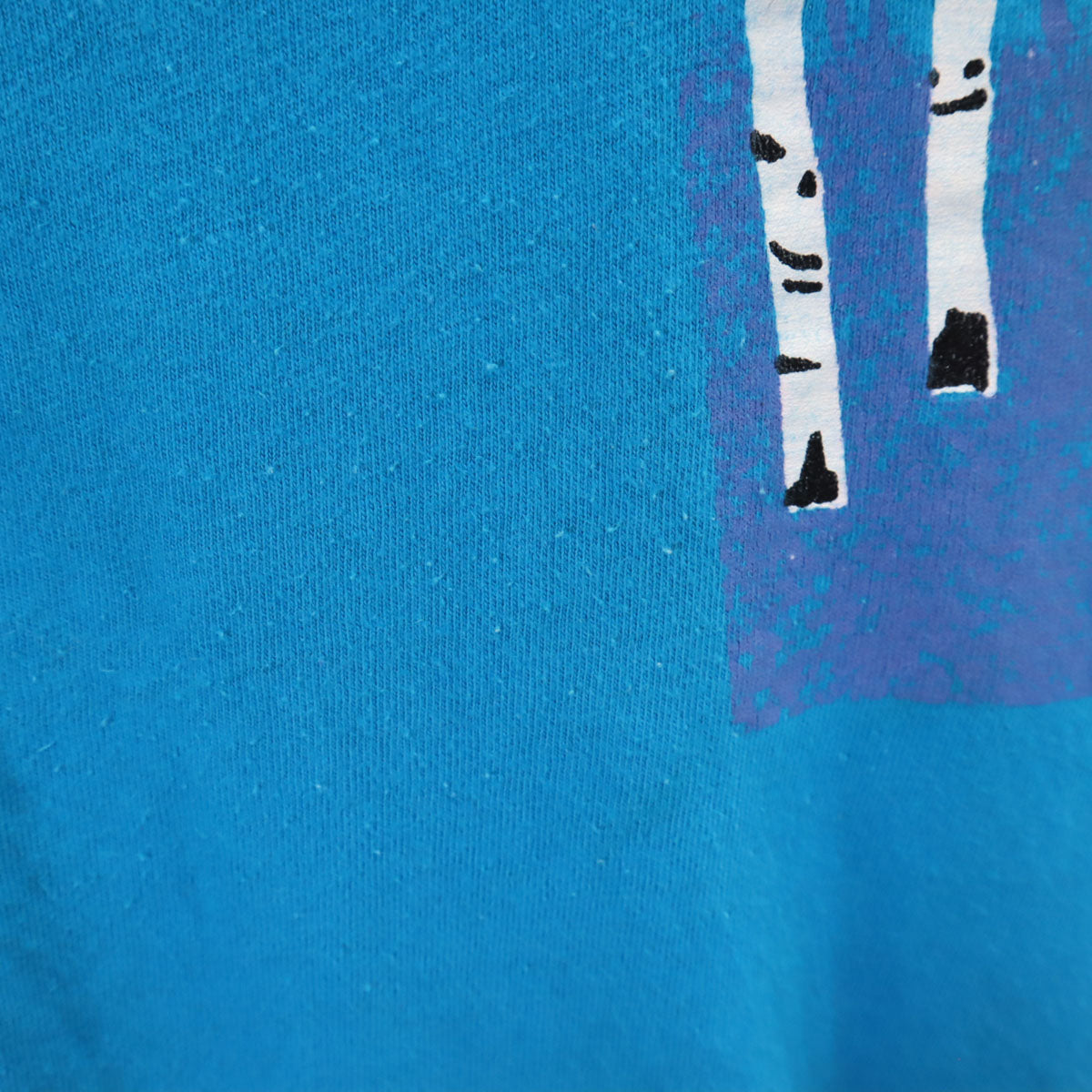 Hanes ヘインズ 80s 90s USA製 オールド 半袖 Tシャツ XL ブルー シングルステッチ メンズ