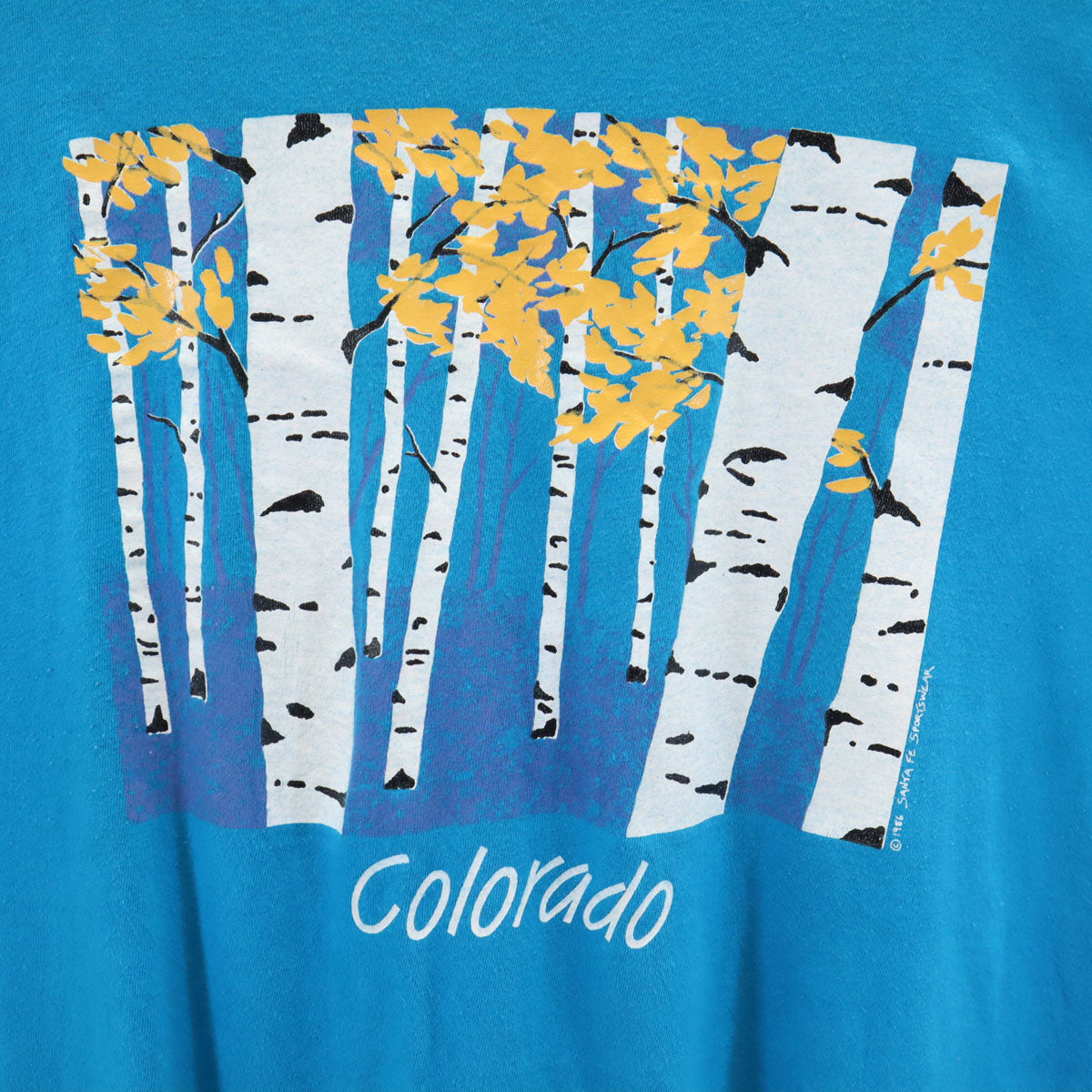 Hanes ヘインズ 80s 90s USA製 オールド 半袖 Tシャツ XL ブルー シングルステッチ メンズ