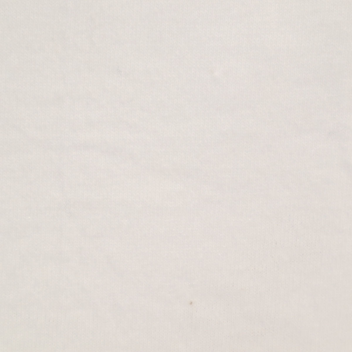 Hanes ヘインズ 80s 90s USA製 オールド 半袖 Tシャツ XXL 白 ビックサイズ シングルステッチ メンズ