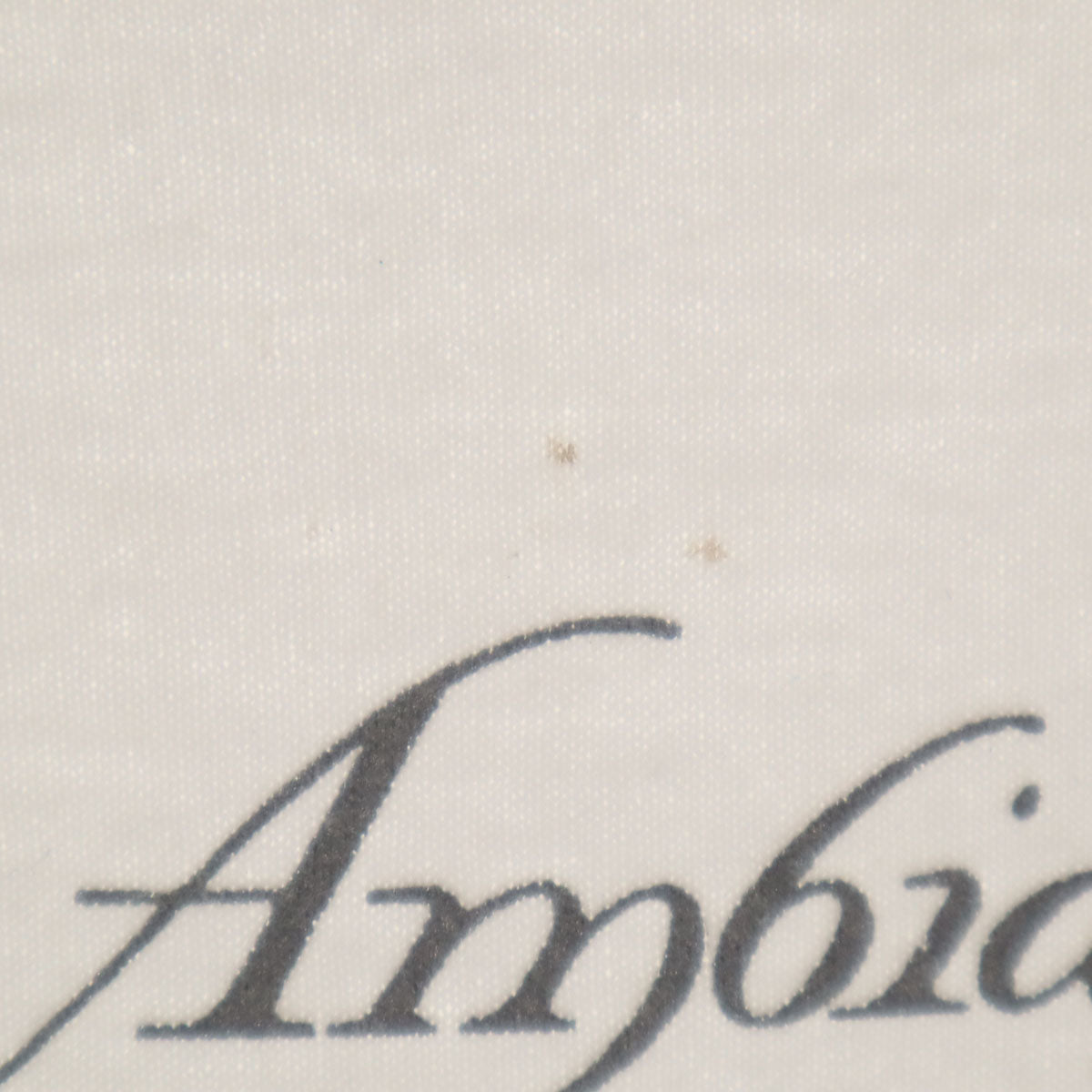 Hanes ヘインズ 80s 90s USA製 オールド 半袖 Tシャツ XXL 白 ビックサイズ シングルステッチ メンズ