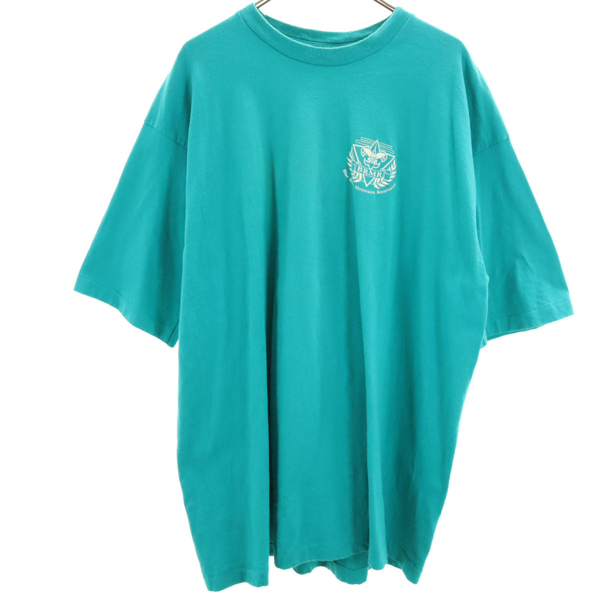 FRUIT OF THE LOOM フルーツオブザルーム 90s USA製 オールド 半袖 Tシャツ XXL グリーン系 ビックサイズ シングルステッチ メンズ