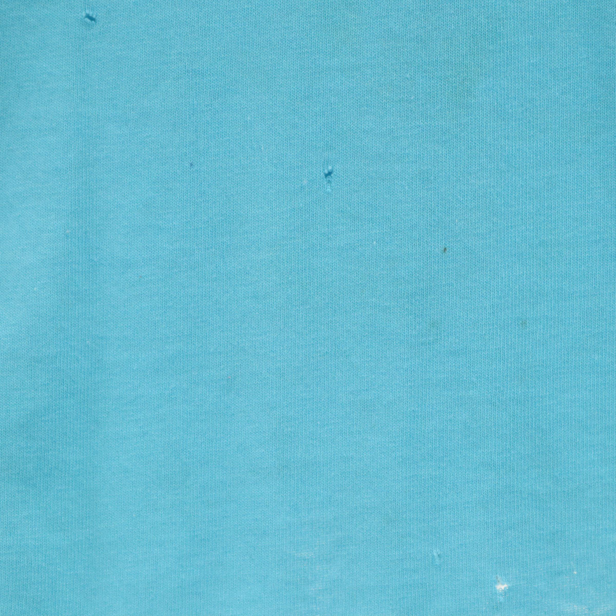 FRUIT OF THE LOOM BEST フルーツオブザルーム ベスト 90s USA製 オールド スポーツクラブ 半袖 Tシャツ XL 水色 シングルステッチ メンズ