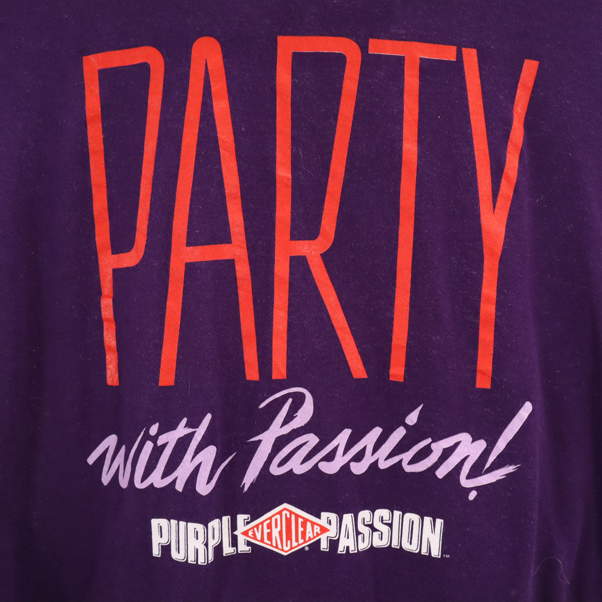 SCREEN STARS スクリーンスターズ 90s オールド 半袖 Tシャツ パープル系 シングルステッチ バックプリント メンズ