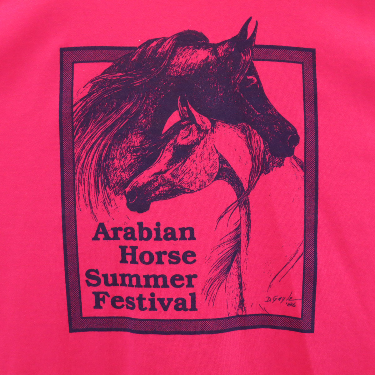 Hanes ヘインズ 90s オールド USA製 プリント 半袖 Tシャツ XL ピンク シングルステッチ メンズ