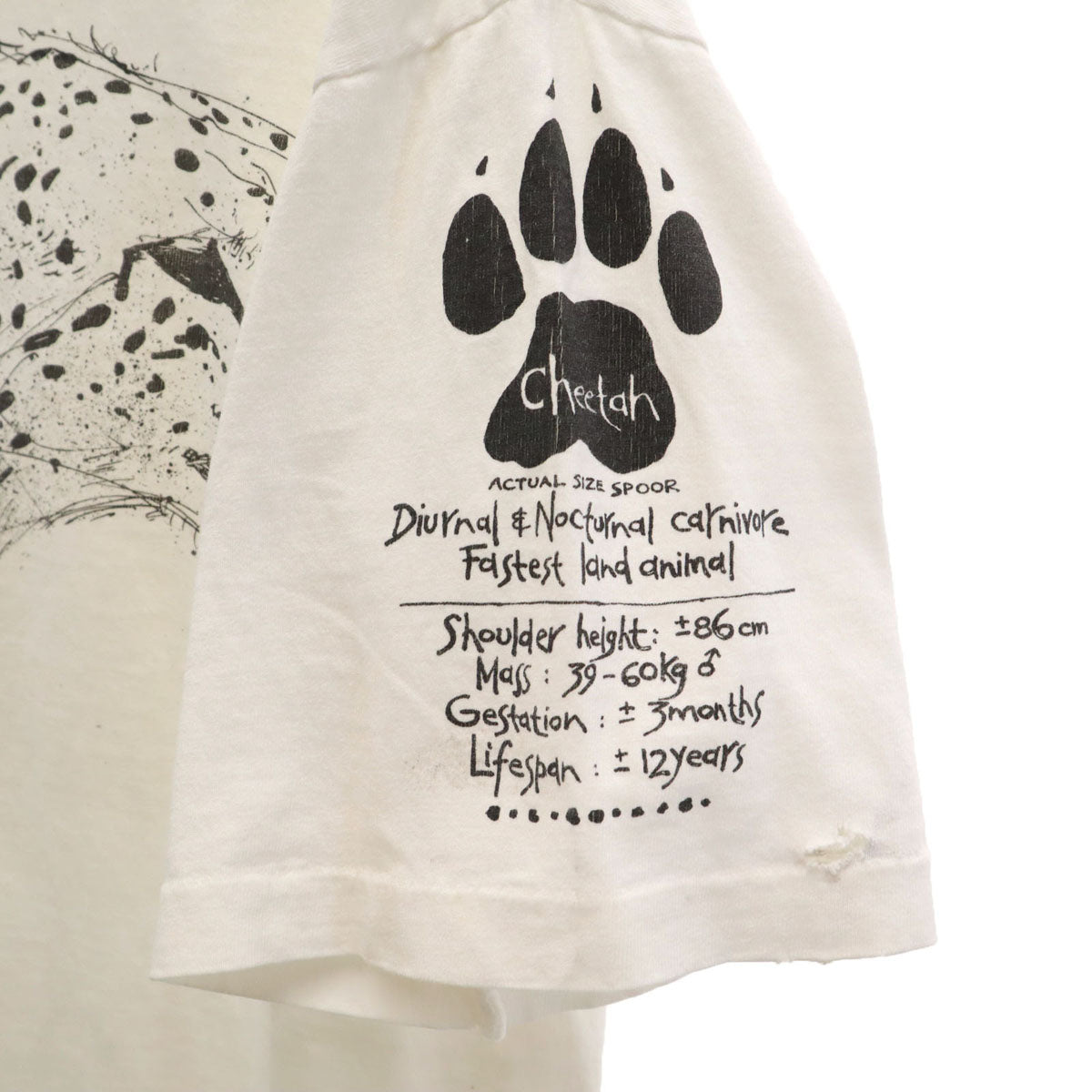 ZAKANAKA 90s USA製 オールド チーター 半袖 Tシャツ L ホワイト シングルステッチ アニマル柄 メンズ