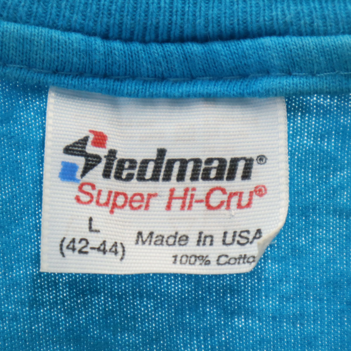 STEDMAN ステッドマン 90s USA製 オールド フィットネスクラブ ベアプリント 半袖 Tシャツ L 水色 企業モノ クマ アニマル メンズ