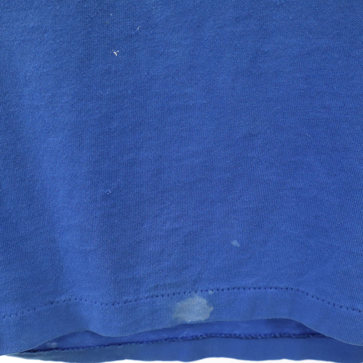 Hanes ヘインズ 90s USA製 オールド EXPECT Thelen BEST アップル プリント 半袖 Tシャツ L ブルー シングルステッチ メンズ