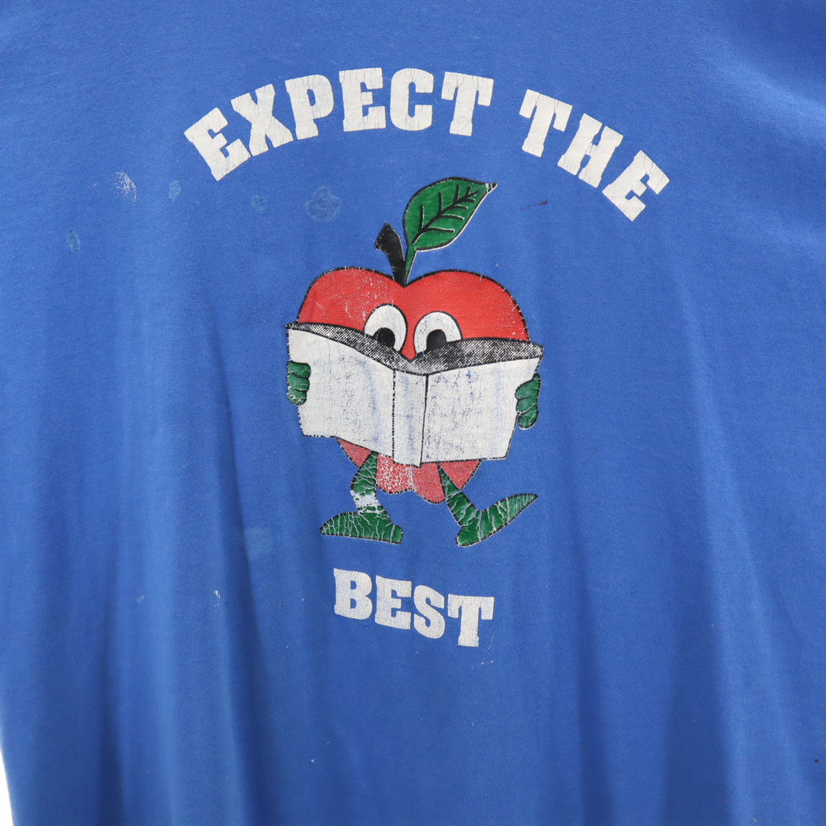 Hanes ヘインズ 90s USA製 オールド EXPECT Thelen BEST アップル プリント 半袖 Tシャツ L ブルー シングルステッチ メンズ