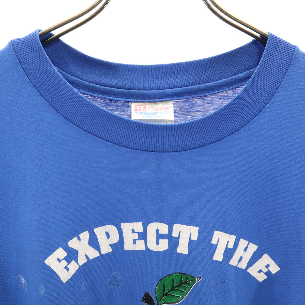Hanes ヘインズ 90s USA製 オールド EXPECT Thelen BEST アップル プリント 半袖 Tシャツ L ブルー シングルステッチ メンズ