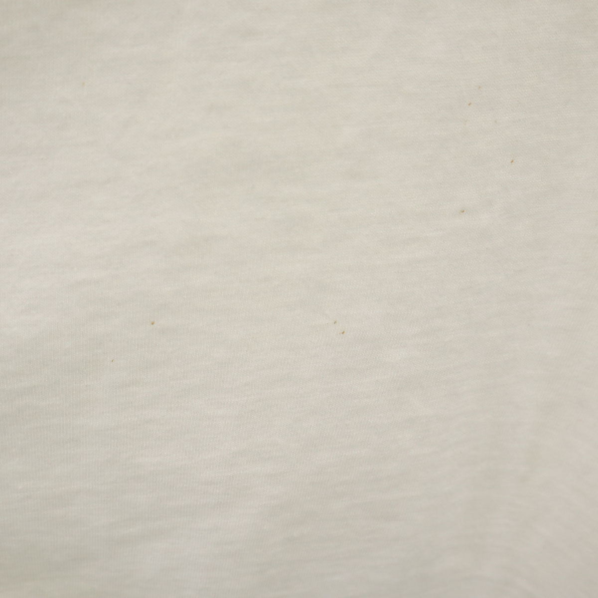 WAVES 90s カナダ製 オールド Tofino B.C. 半袖 Tシャツ XL ホワイト シングルステッチ メンズ