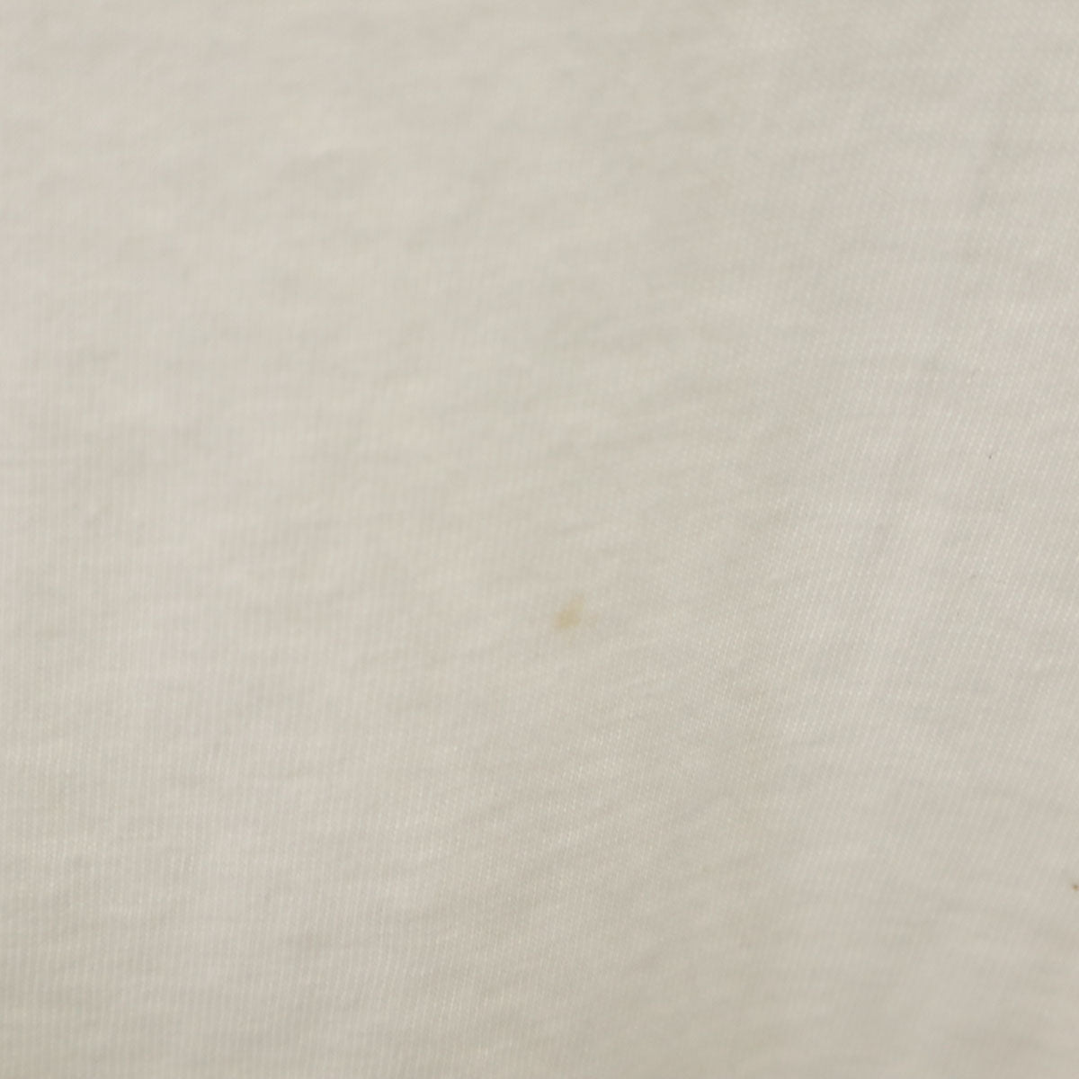 WAVES 90s カナダ製 オールド Tofino B.C. 半袖 Tシャツ XL ホワイト シングルステッチ メンズ